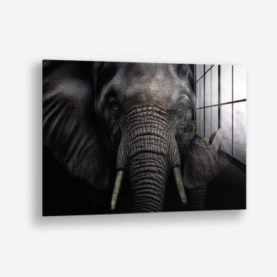Elephant Close-Up – Vetro