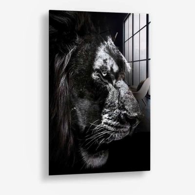 The King – Vetro