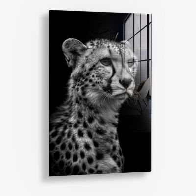 Cheetah's View – Vetro
