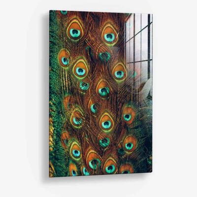 Peacock Feathers – Vetro
