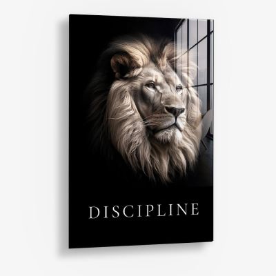 Discipline – Vetro