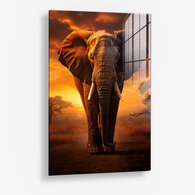 Elephant on the Road II – Vetro