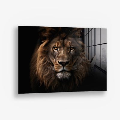 Lion HZ – Vetro