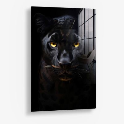 The Jaguar – Vetro