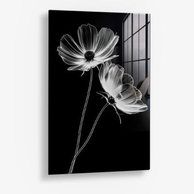 X-Ray Flowers – Vetro