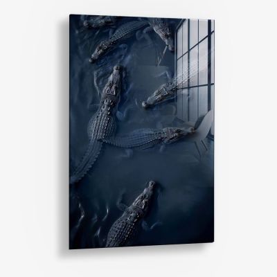 Crocodiles – Vetro