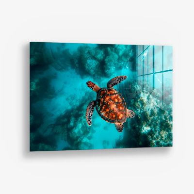 Sea Turtle HZ – Vetro