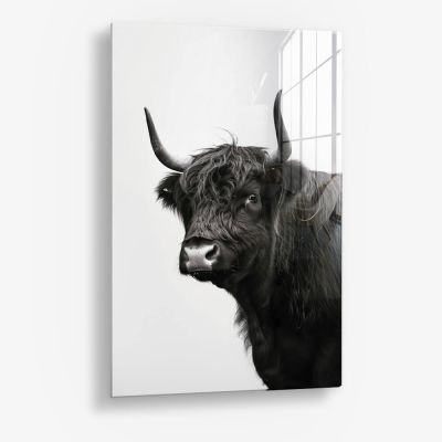 B&W Muscox II – Vetro