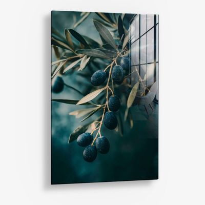 Olive Tree Closeup – Vetro