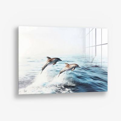 Dolphins – Vetro