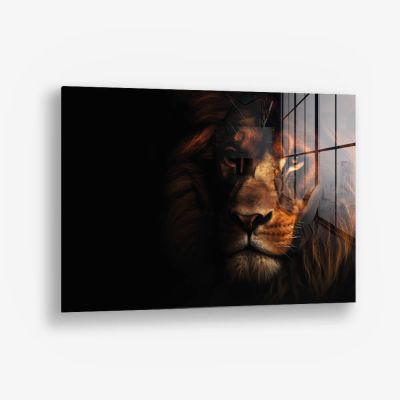 Lion In The Dark HZ – Vetro