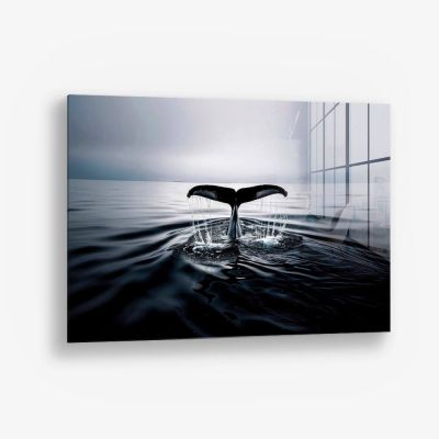 Whale's Tail – Vetro
