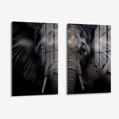 Bundle: "Elephant" (2x) – Vetro