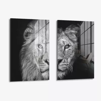 Bundle: "Wild Mirror" (2x) – Vetro