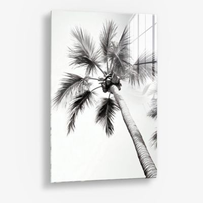 Beachy Palm - Vetro
