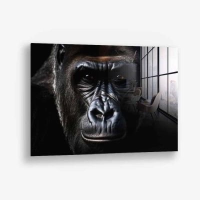 The Gorilla – Vetro