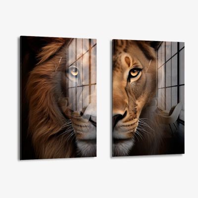 Bundle: "Lion & Lioness Color II" (2x) – Vetro