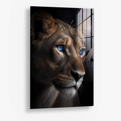 Gazing Lioness – Vetro