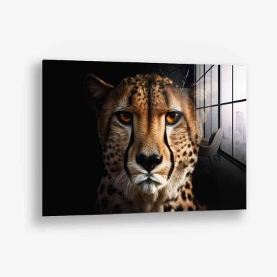 The Cheetah – Vetro