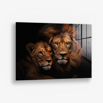 Lion Couple HZ – Vetro