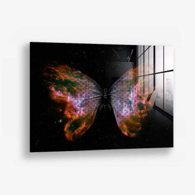 Universe Butterfly – Vetro
